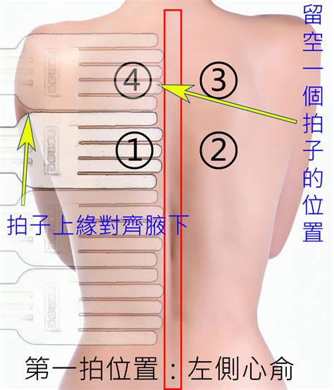 後背位置